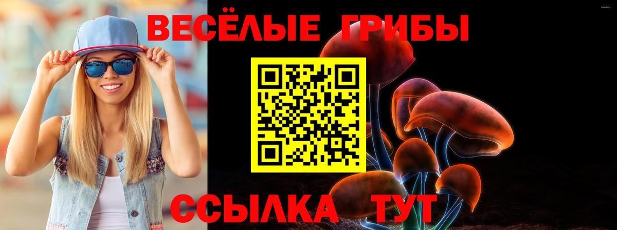 Саянск  Галлюциногенные грибы Magic Shrooms  Вход с VPN 